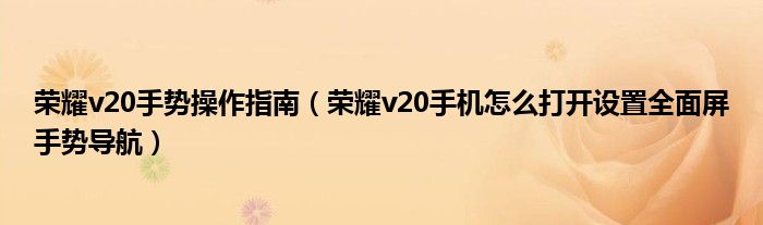 荣耀v20手势操作指南（荣耀v20手机怎么打开设置全面屏手势导航）