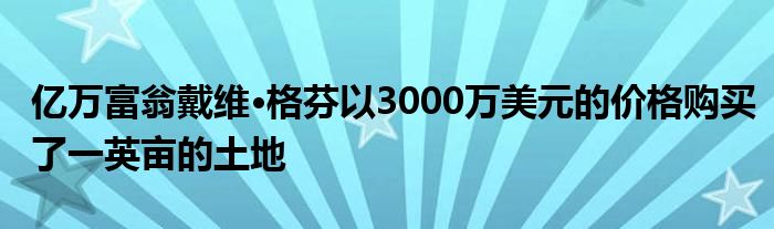 亿万富翁戴维·格芬以3000万美元的价格购买了一英亩的土地