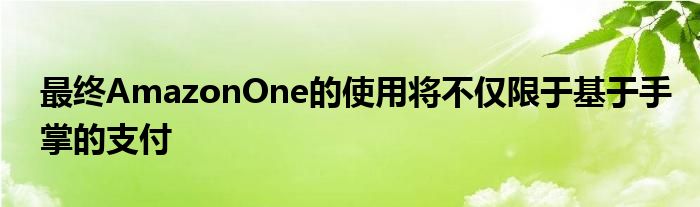  最终AmazonOne的使用将不仅限于基于手掌的支付