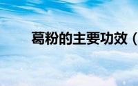 葛粉的主要功效（葛粉的神奇功效）