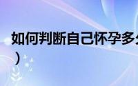如何判断自己怀孕多久（如何判断自己怀孕了）