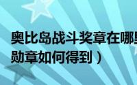 奥比岛战斗奖章在哪里兑换（奥比岛攻略家族勋章如何得到）