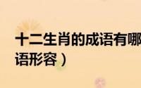 十二生肖的成语有哪些?（十二生肖有哪些成语形容）