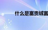 什么是富贵绒富贵绒是什么东西