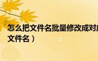 怎么把文件名批量修改成对应名称（怎样批量修改成不同的文件名）