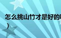 怎么挑山竹才是好的呢（怎么挑山竹才是好的）