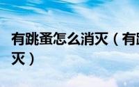 有跳蚤怎么消灭（有跳蚤怎样才能把它全部消灭）