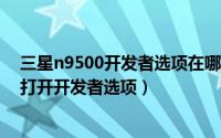 三星n9500开发者选项在哪里（三星手机如GT-I9300如何打开开发者选项）