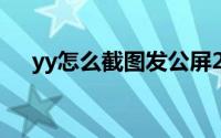 yy怎么截图发公屏2021（yy怎么截图）