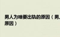 男人为啥要出轨的原因（男人为什么要出轨分析男人出轨的原因）