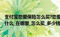 支付宝恋爱保险怎么买?恋爱保险在哪?（支付宝恋爱保险是什么_在哪里_怎么买_多少钱）