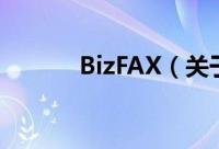 BizFAX（关于BizFAX的简介）