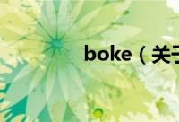 boke（关于boke的简介）
