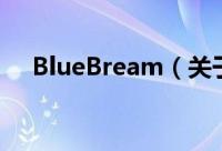 BlueBream（关于BlueBream的简介）