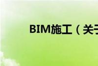 BIM施工（关于BIM施工的简介）