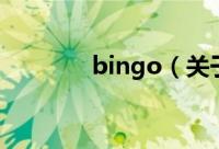 bingo（关于bingo的简介）