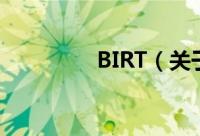 BIRT（关于BIRT的简介）