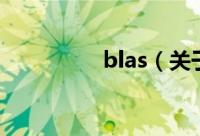 blas（关于blas的简介）