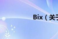 Bix（关于Bix的简介）