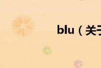 blu（关于blu的简介）