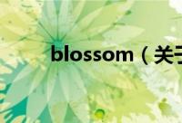 blossom（关于blossom的简介）