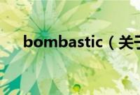 bombastic（关于bombastic的简介）