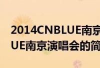 2014CNBLUE南京演唱会（关于2014CNBLUE南京演唱会的简介）