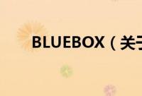 BLUEBOX（关于BLUEBOX的简介）