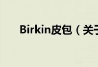 Birkin皮包（关于Birkin皮包的简介）