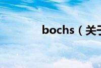 bochs（关于bochs的简介）