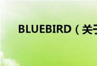 BLUEBIRD（关于BLUEBIRD的简介）