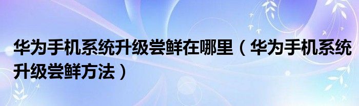 华为手机系统升级尝鲜在哪里（华为手机系统升级尝鲜方法）