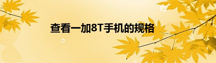 查看一加8T手机的规格