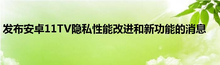 发布安卓11TV隐私性能改进和新功能的消息