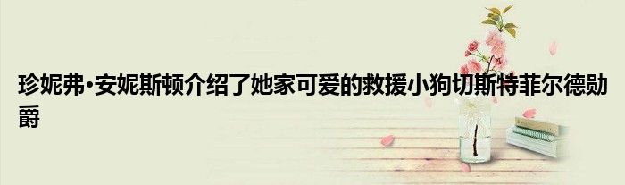 珍妮弗·安妮斯顿介绍了她家可爱的救援小狗切斯特菲尔德勋爵