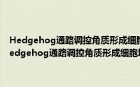 Hedgehog通路调控角质形成细胞增殖与凋亡的分子机制研究（关于Hedgehog通路调控角质形成细胞增殖与凋亡的分子机制研究的简介）