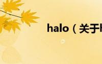 halo（关于halo的简介）