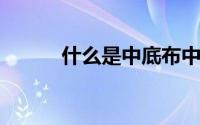 什么是中底布中底布是什么材质