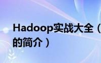 Hadoop实战大全（关于Hadoop实战大全的简介）