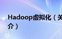 Hadoop虚拟化（关于Hadoop虚拟化的简介）