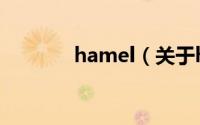 hamel（关于hamel的简介）