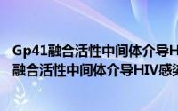 Gp41融合活性中间体介导HIV感染的机理研究（关于Gp41融合活性中间体介导HIV感染的机理研究的简介）