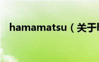 hamamatsu（关于hamamatsu的简介）