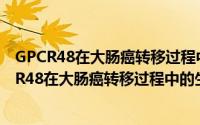 GPCR48在大肠癌转移过程中的生物学功能研究（关于GPCR48在大肠癌转移过程中的生物学功能研究的简介）