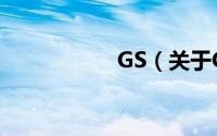 GS（关于GS的简介）