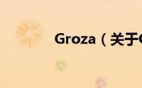 Groza（关于Groza的简介）
