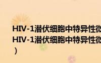 HIV-1潜伏细胞中特异性微小RNA鉴定及其功能分析（关于HIV-1潜伏细胞中特异性微小RNA鉴定及其功能分析的简介）