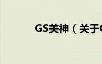 GS美神（关于GS美神的简介）