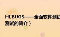 HI,BUGS——全面软件测试（关于HI,BUGS——全面软件测试的简介）