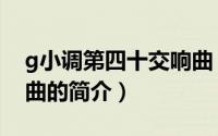 g小调第四十交响曲（关于g小调第四十交响曲的简介）